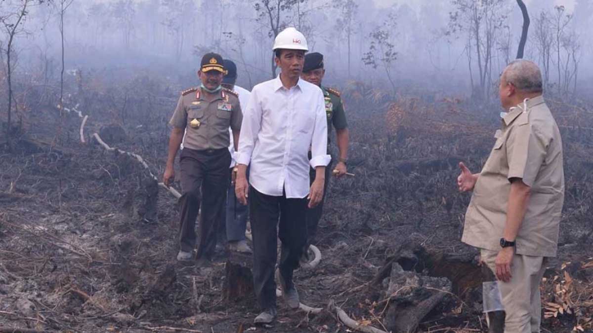 Soal Pencegahan Karhutla, Masyarakat Sipil Ingatkan BNPB