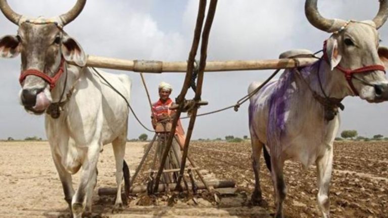 India membutuhkan hujan