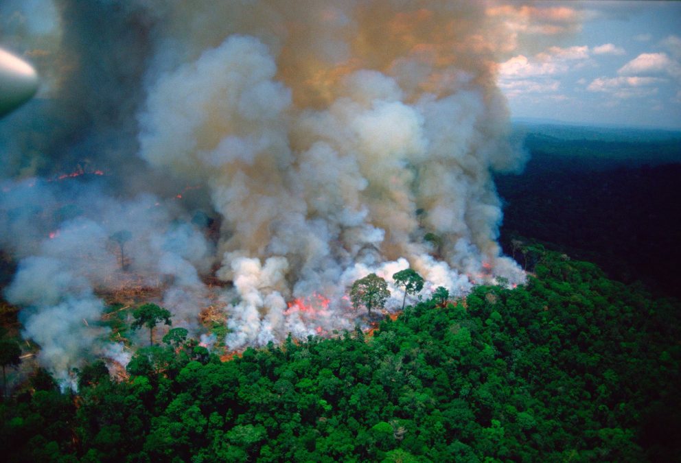 Kebakaran Amazon