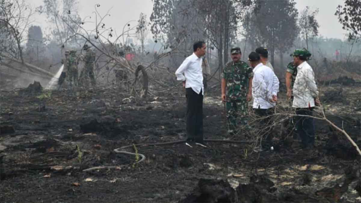 Karhutla Jokowi