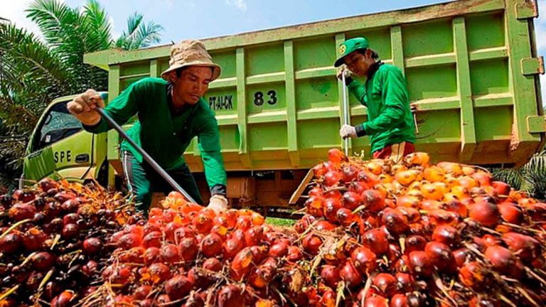 Kelapa Sawit