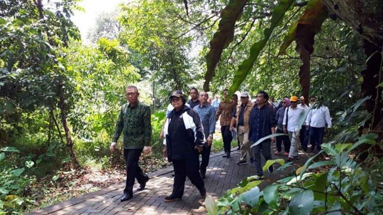 Menteri LHK Siapkan 1,45 Juta Ha Kawasan Hutan untuk TORA