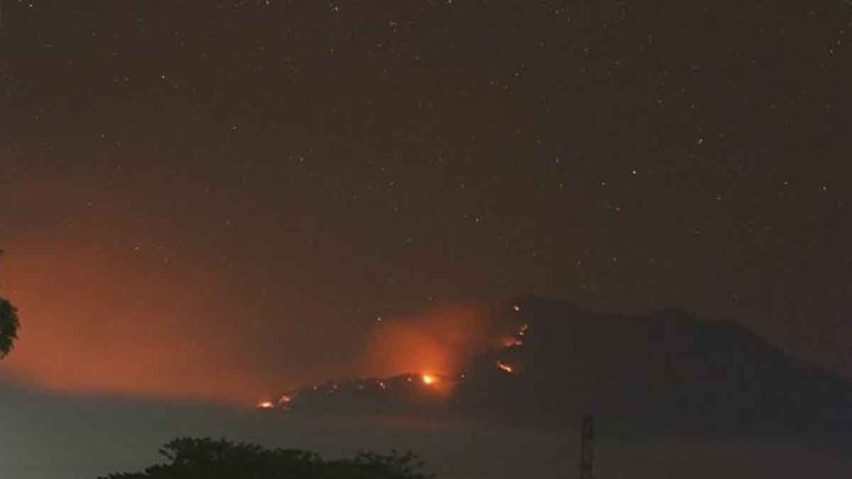 Jalur Pendakian Gunung Raung Terbakar, BNPB Langsung Gerak Cepat