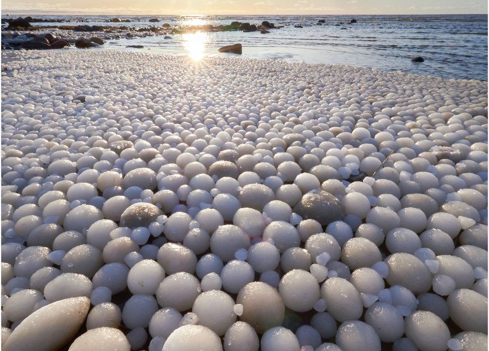Ribuan 'Telur Es' Langka Ditemukan di Pantai Finlandia