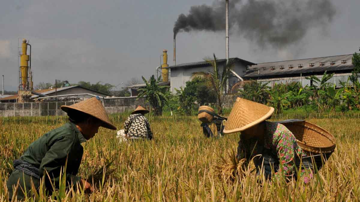 Meluasnya Alih Fungsi Lahan Pertanian, Kementan Perketat Lewat BPS