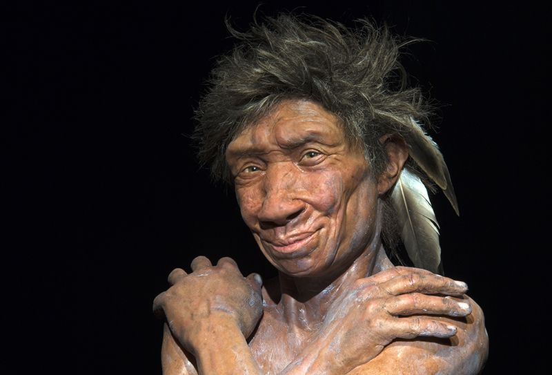 Kepunahan Neanderthal Karena 'Nasib Buruk'