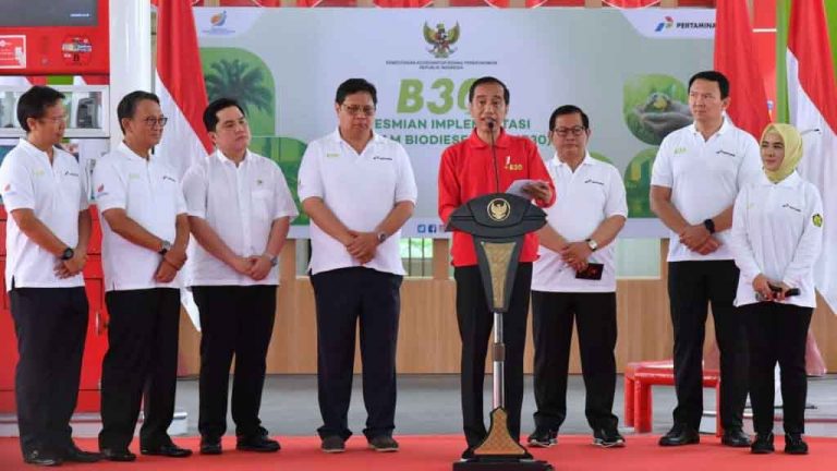 Resmikan Implementasi B30, Presiden Yakin Bisa Hemat Devisa Rp 63 T