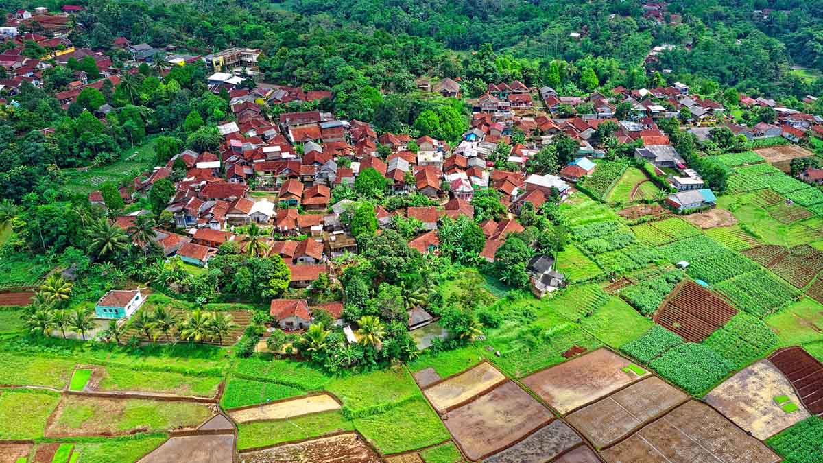 Rembuk Desa Sebagai Penyatuan Desa Sukodadi