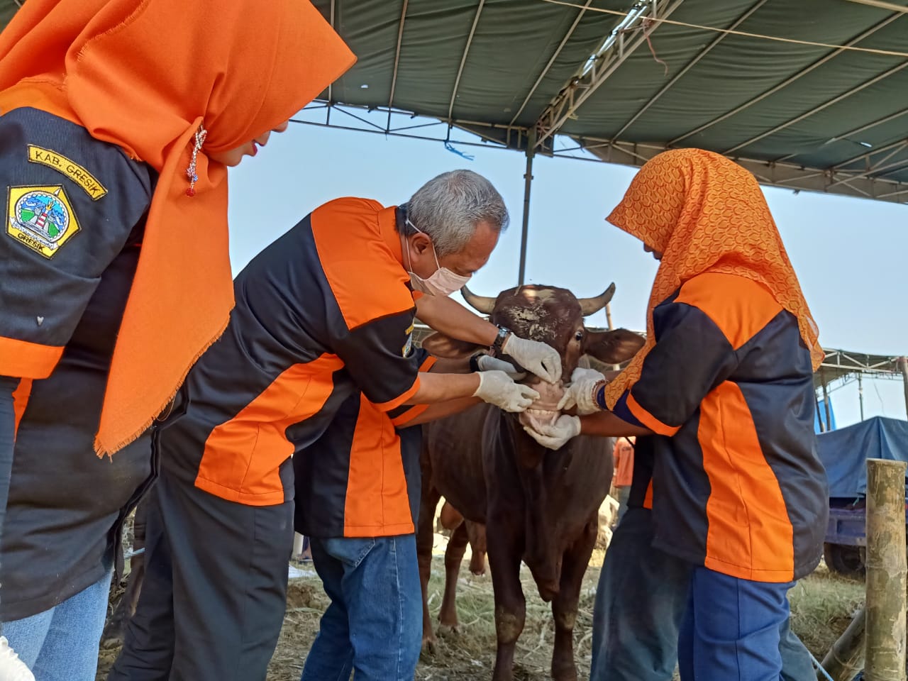 Pedagang & Pemelihara Hewan Harus Mengantongi SKKH