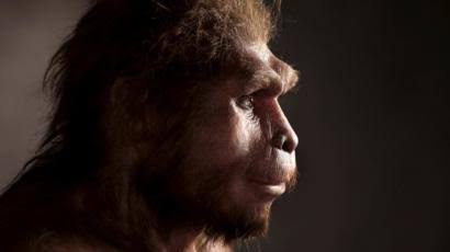 Bersemayamnya Homo Erectus di Pulau Jawa