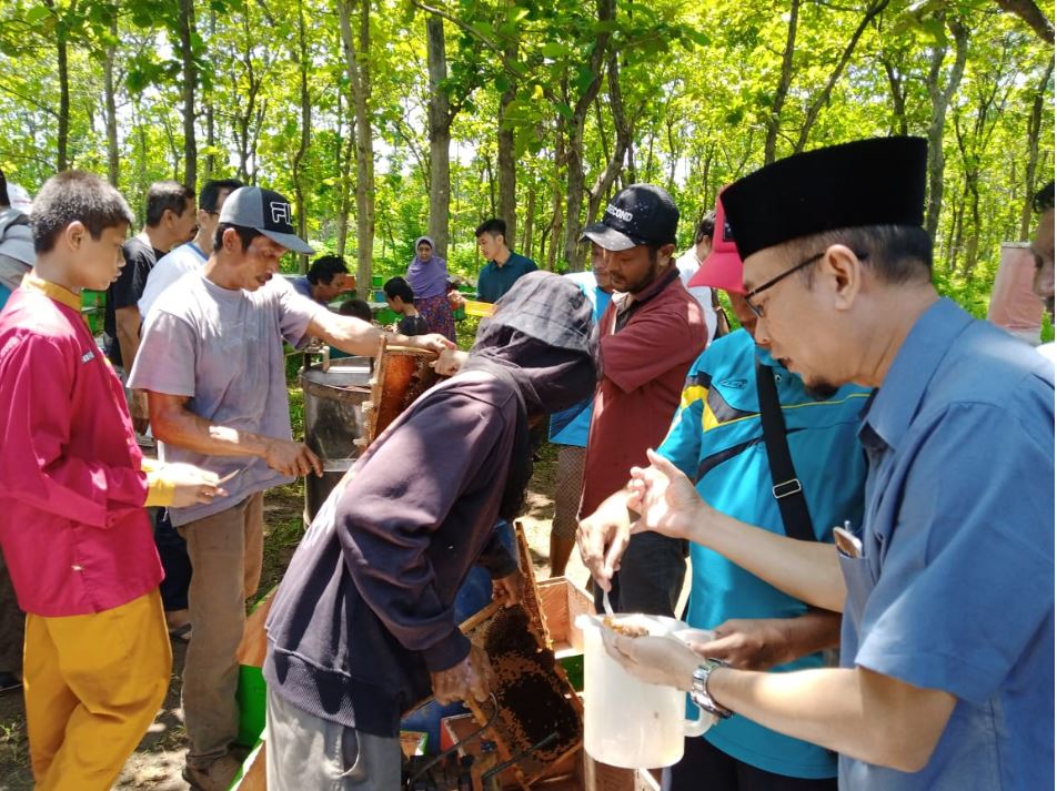 Panen Madu Hutan Sugihan, Pengunjung Boleh Mencicipi Sepuasnya