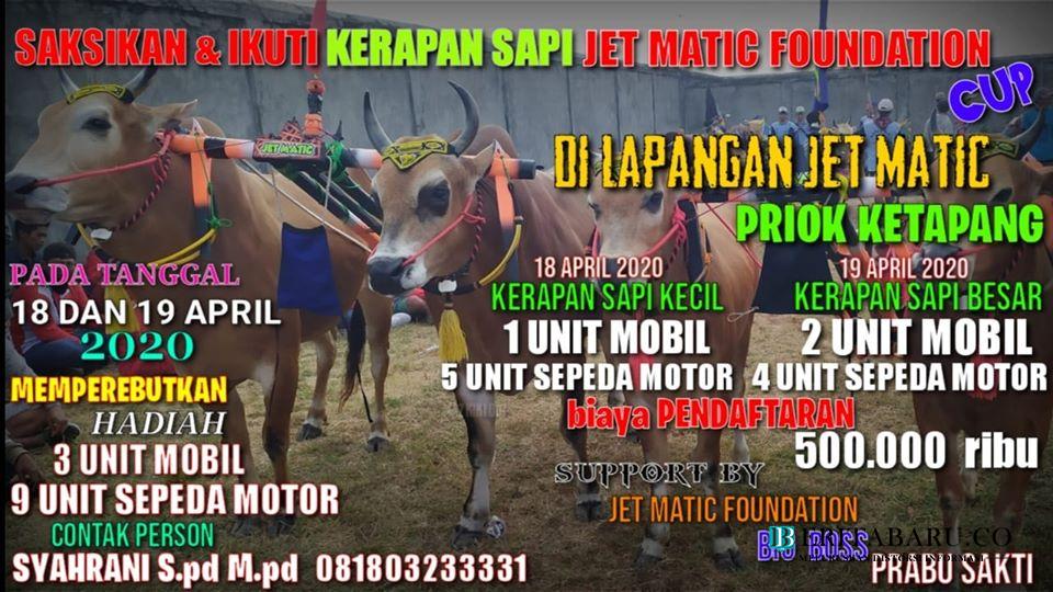 Karapan Sapi dalam Rangka Ulang Tahun "Jet Matic Foundation" Ditunda