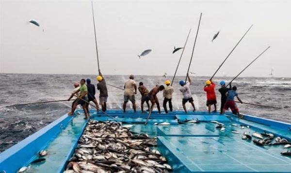 Sosialisasi Alat Tangkap, KKP Bagikan Paket Sembako untuk Nelayan Kepulauan Seribu
