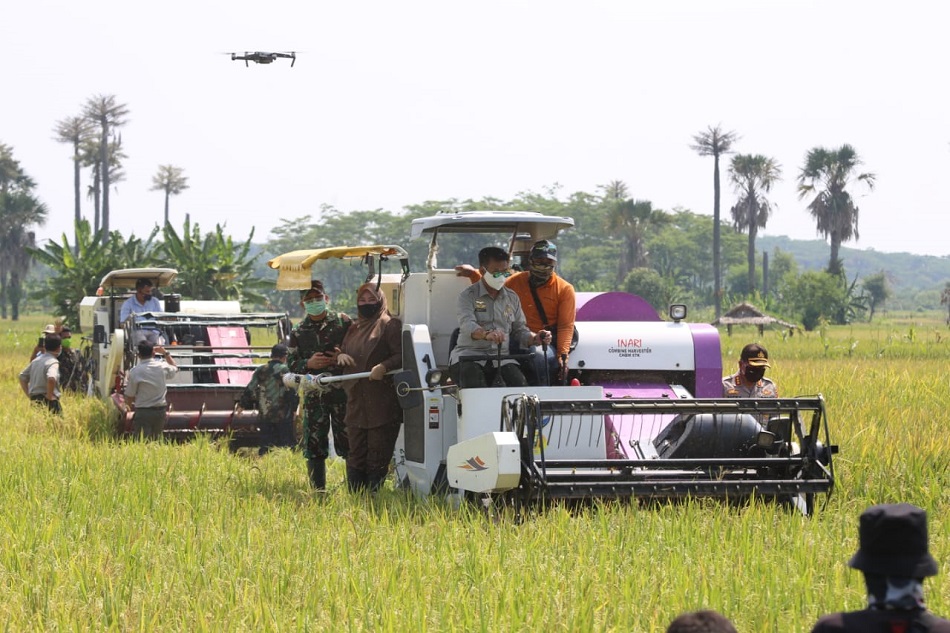 Mentan: Produksi Pangan di Indonesia Terbilang Kuat dan Terkendali