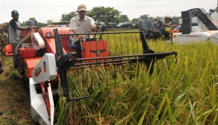 Menjelang Idul Fitri, Ketersediaan Pangan di Sumenep Dipastikan Aman