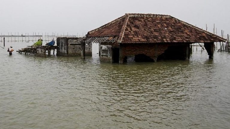 Akibat Banjir Rob, Ratusan Warga Pekalongan Mengungsi