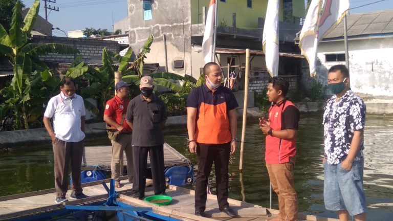Kunjungi Panen Raya Ikan Lele Kartar Bakti Mulya, Wakil Ketua DPRD Gresik Berpesan Pemuda Harus Kreatif dan Produktif
