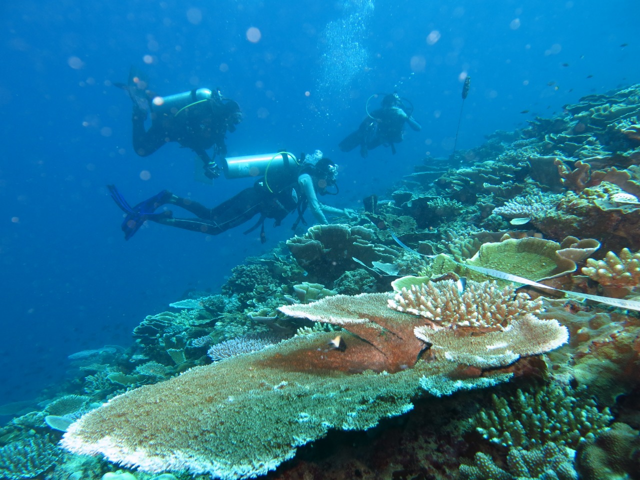 Wisata Selam Gili Matra