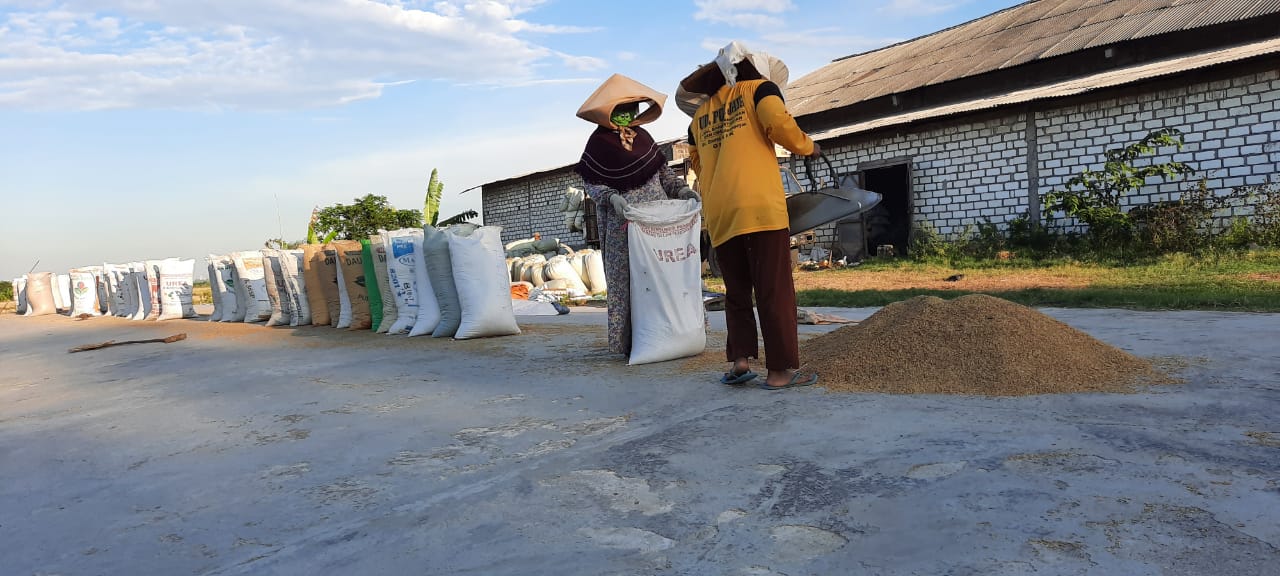 Dorong Produktivitas Pertanian Nasional, Petrokimia Gresik Siapkan 15 Mobil Layanan Uji Tanah