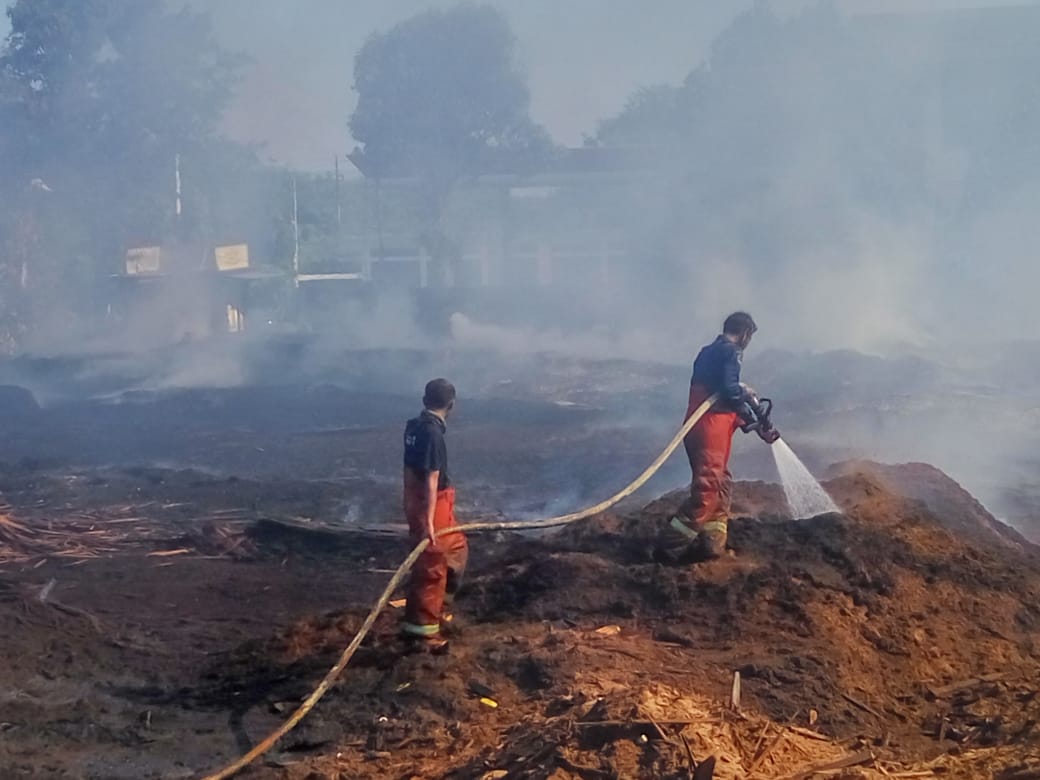 Lahan Penyimpanan Serbuk Kayu di Gresik Terbakar, Nyaris Merembet ke SPBU