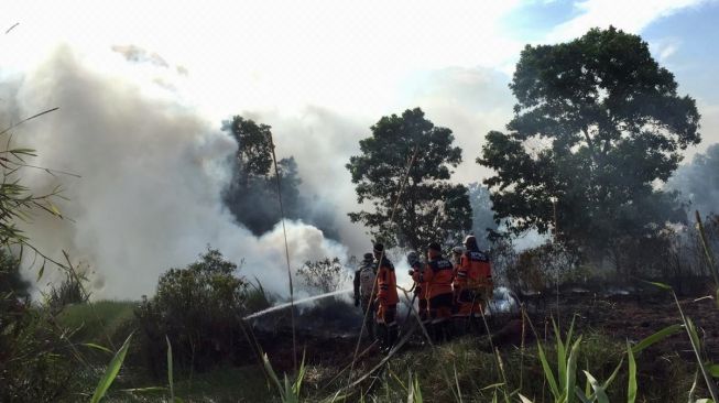 Belum Genap Setahun, Kebakaran Hutan dan Lahan di Sumsel Capai 523 Kali