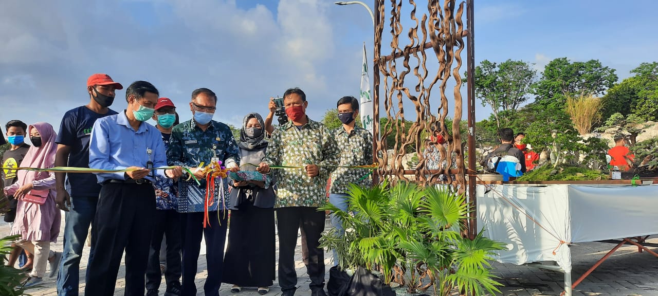 Kontes dan Pameran Bonsai PPBI Digelar di Gressmall, Diikuti 303 Peserta