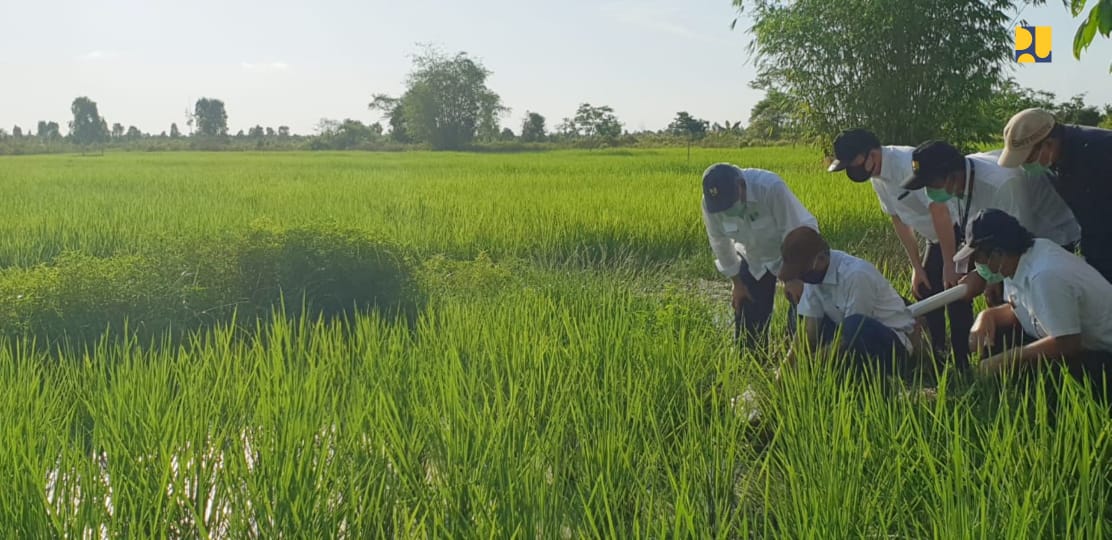 Rehabilitasi Jaringan Irigasi Kawasan Food Estate Kalteng Dimulai