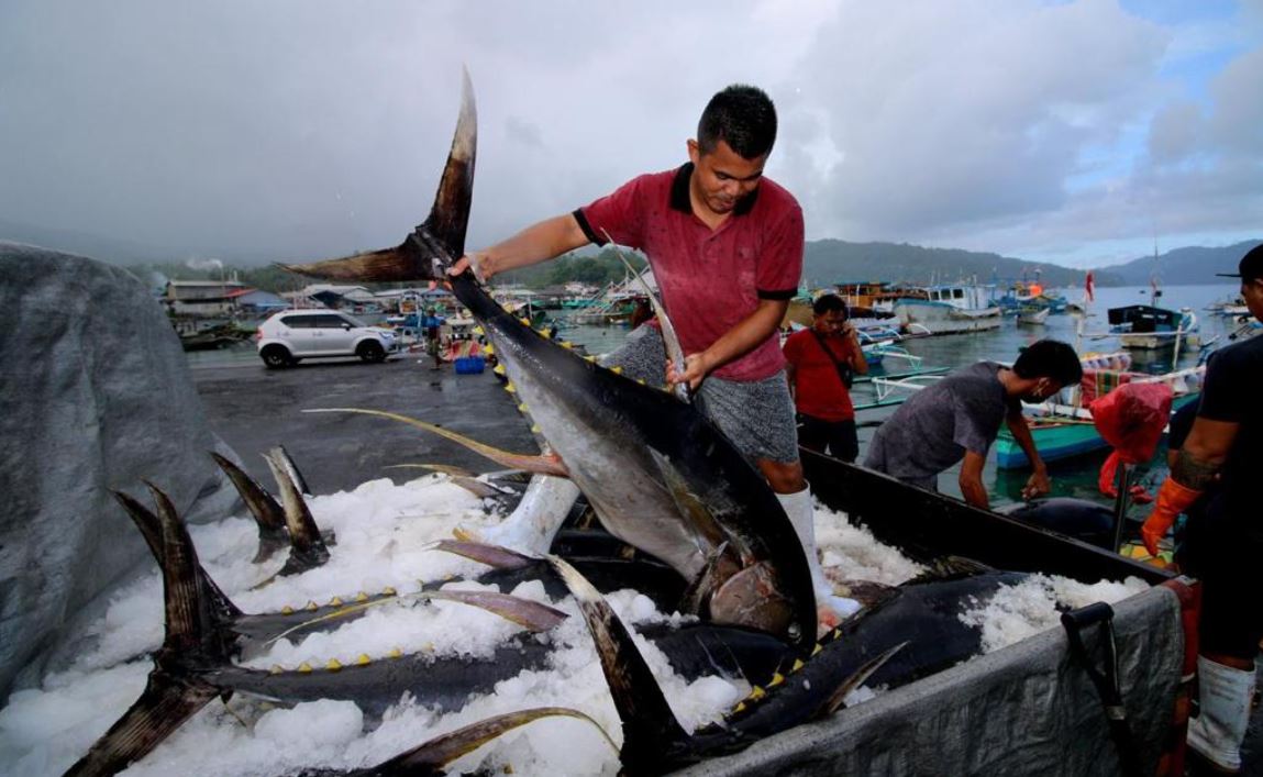 Asesmen Hasil Tangkapan