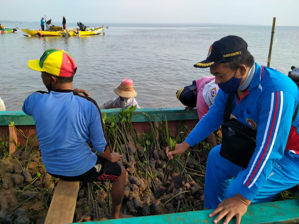 KLHK Tanam 330 Ribu Mangrove di Pesisir Pantai Randuboto Sidayu