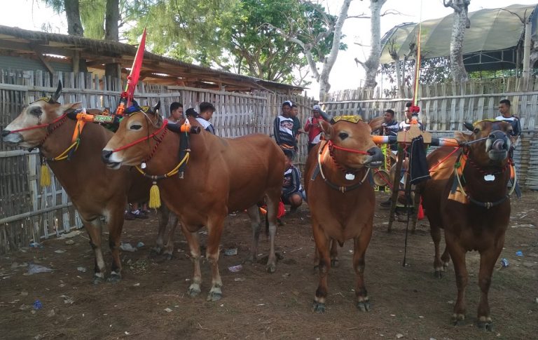 Jet Matic Kembali Ukir Sejarah di Tingkat Kabupaten Sampang 2020