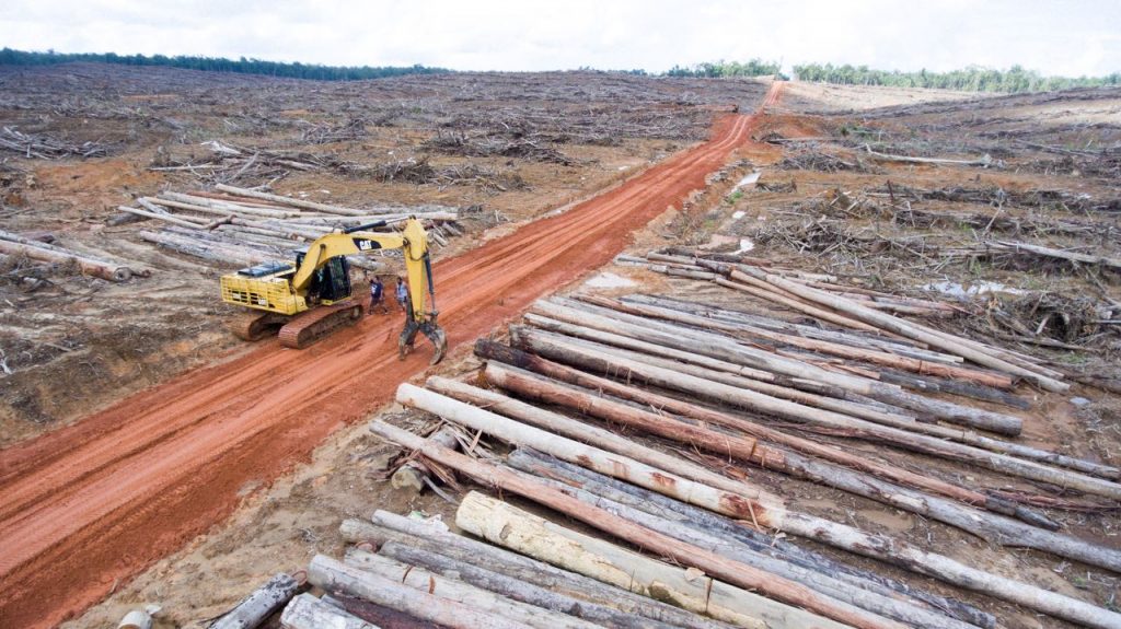 Omnibus Law Akan Picu Kehancuran Tanah Papua