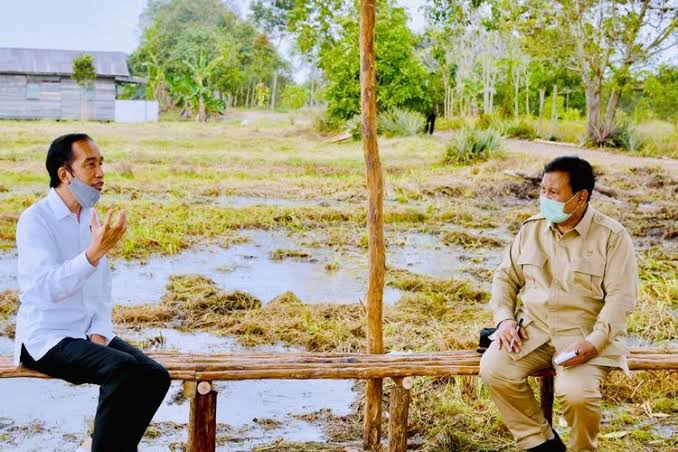 Pemerintah Akan Kembangkan Food Estate di 5 Wilayah di Jawa Barat