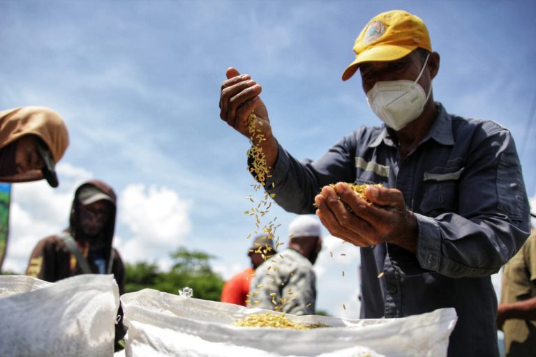 Gerakan Ketahanan Pangan