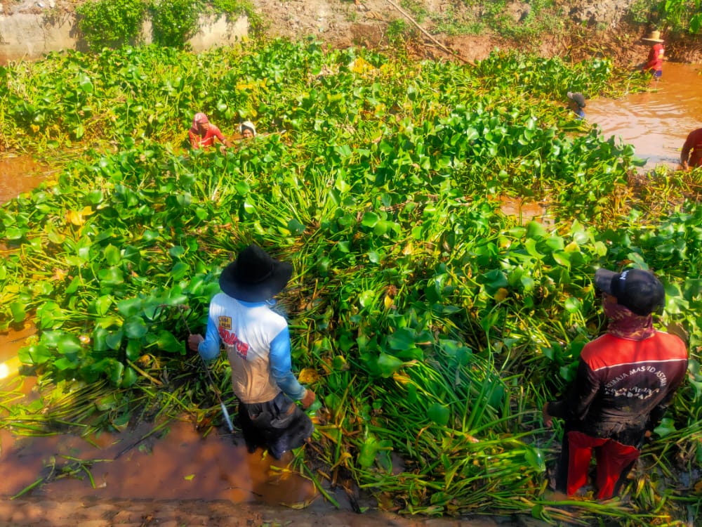 Antisipasi Banjir, Kades Sekardadi Jenu Ajak Warga Bersihkan Sungai