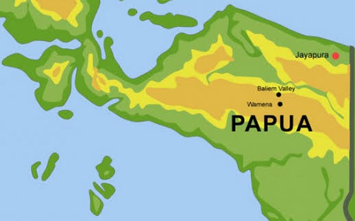 Bahas Revisi Otsus Papua, BAPPENAS Singgung Capaian SDGs