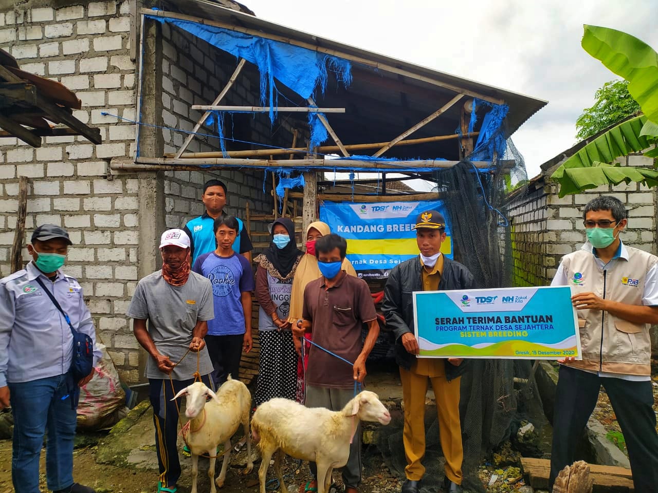 20 Peternak di Gresik Terima Bantuan Kambing Bunting dari Lazis PJB dan NH Zakatkita