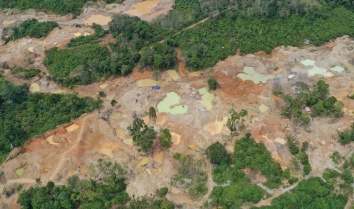 5000 Hektar Hutan Rusak, Walhi Aceh: Akibat Tambang Emas Ilegal