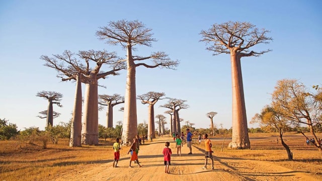 Penulis Inggris, John Gimlette Optimis dengan Masa Depan Madagaskar