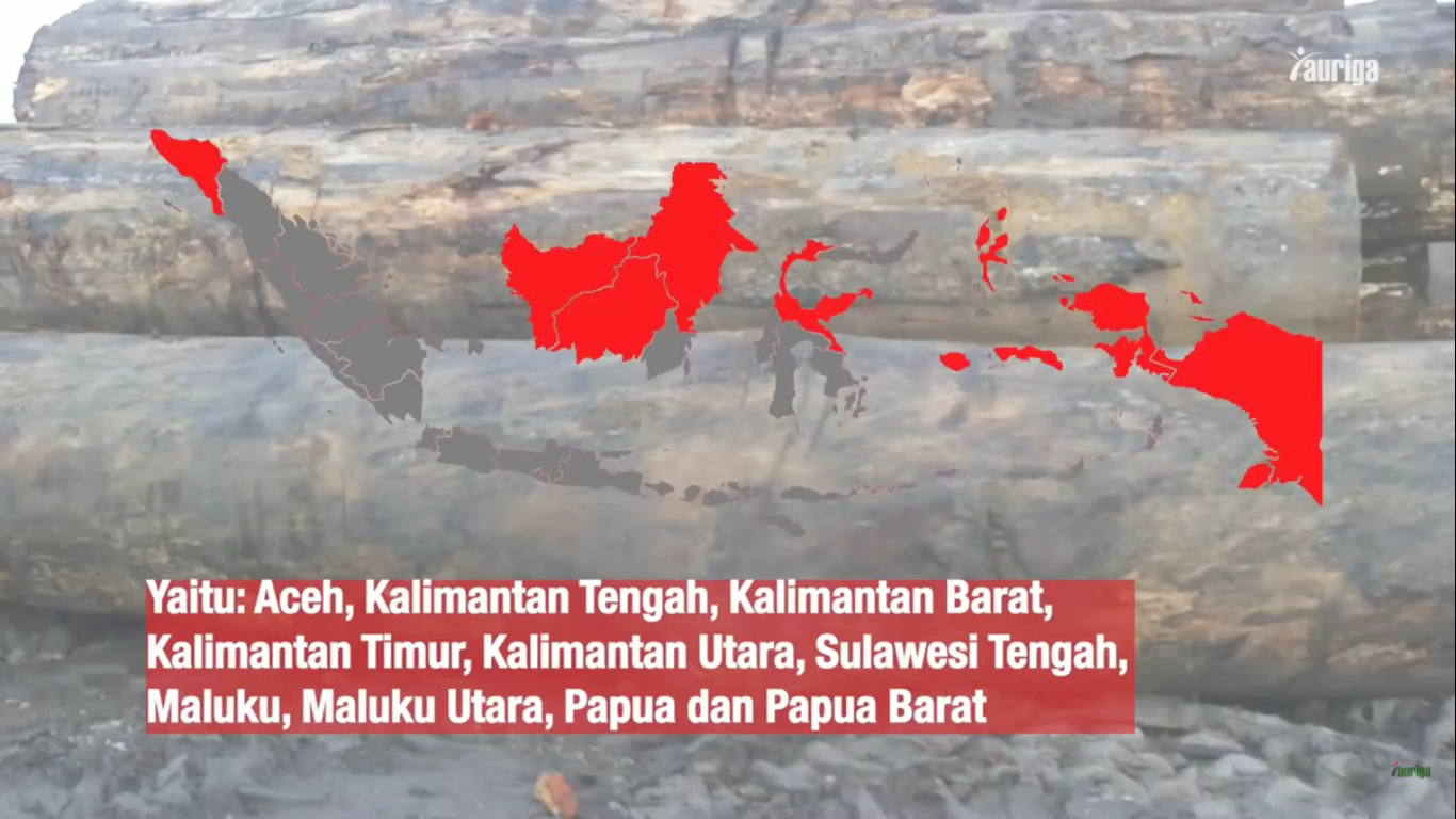 Koalisi Indonesia Memantau Desak Penghentian Deforestasi di Papua