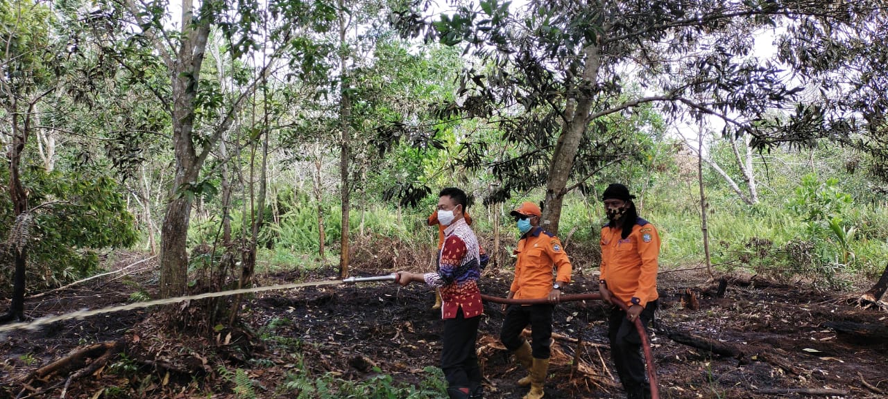 Pontianak Siaga Karhutla, Edi Bentuk Tim Satgas