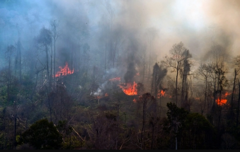 ICEL Sebut Pemerintah Inkonsisten dalam Penanggulangan Karhutla