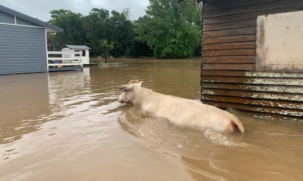 Belum Pulih dari Bencana Kebakaran, Banjir Bandang Melanda NSW Australia