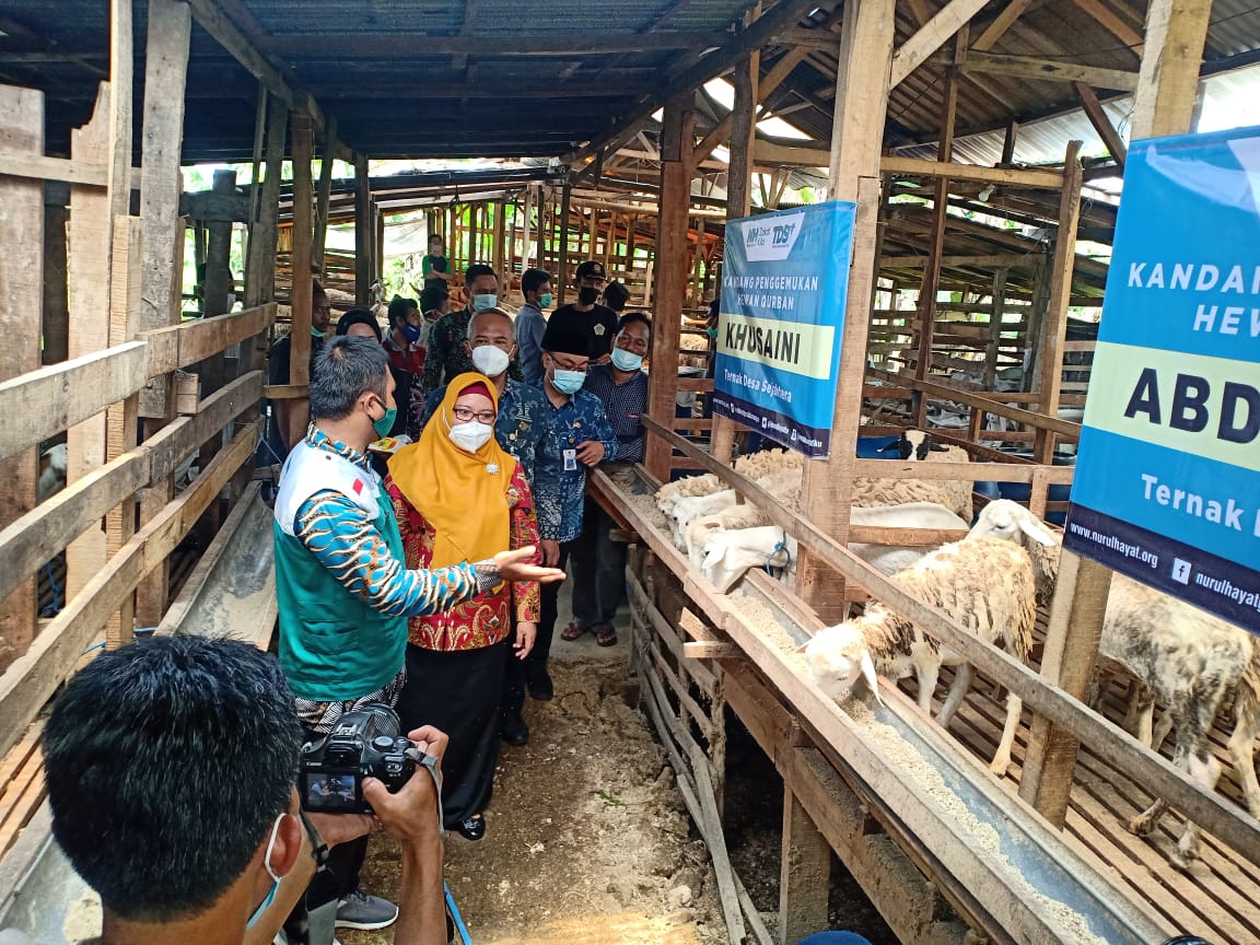 Serahkan 100 Ekor Kambing untuk Warga Bungah, Wabup Gresik: Program Nurul Hayat Bisa Jadi Percontohan