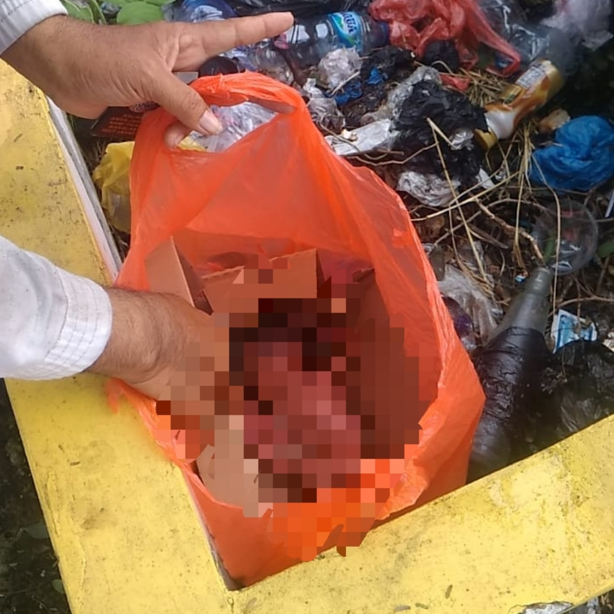 Warga Menganti Gresik Digegerkan Penemuan Bayi Dibuang di Tempat Sampah