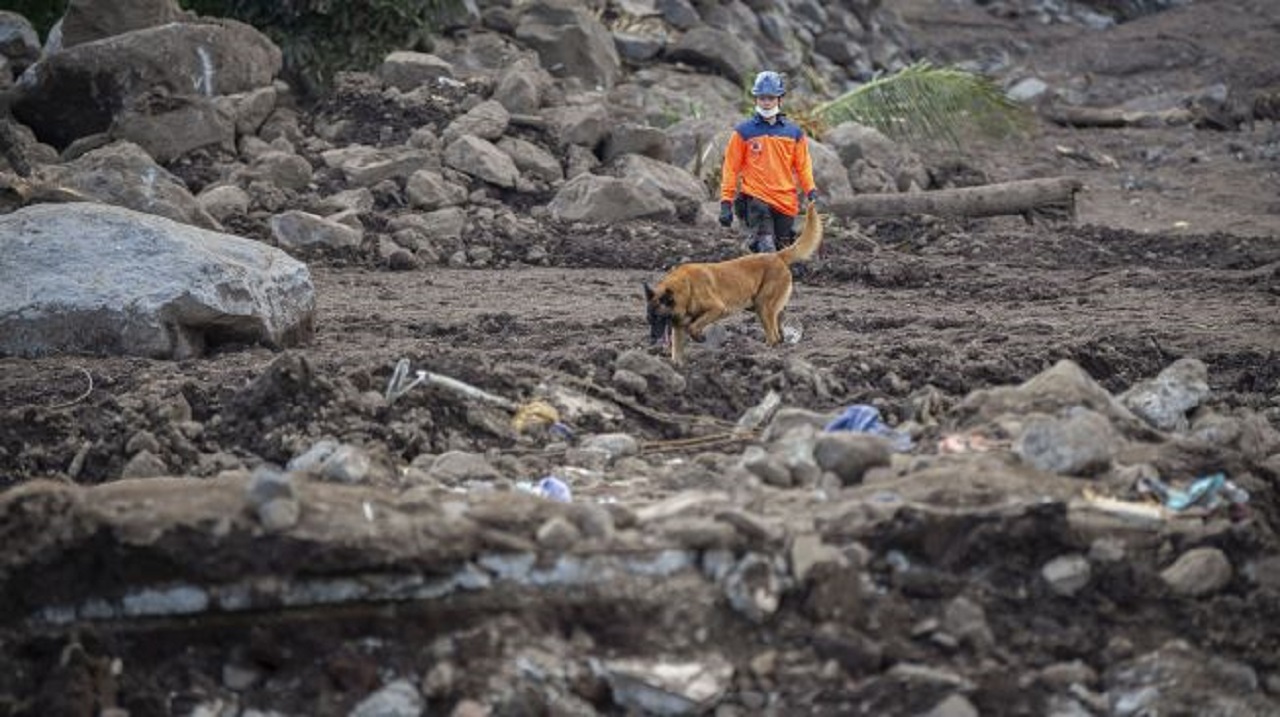 Capai 174 Orang Meninggal, BNPB Optimalkan Pencarian Korban Siklon Tropis Seroja NTT