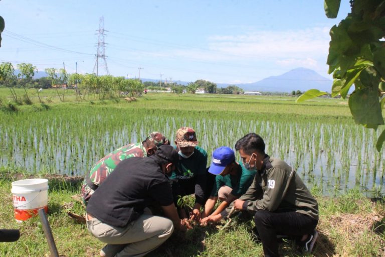 FORSIMPRO Gelar Kegiatan Lestari Linkungan di Desa Jatiurip