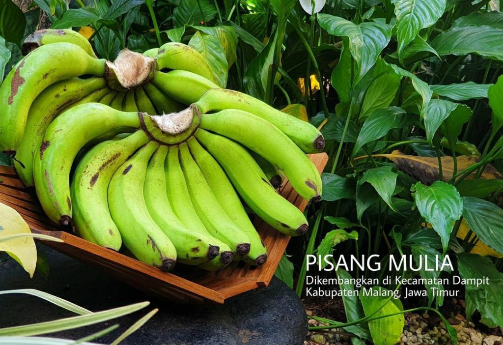 Sri Mulyani Puji Buah-buahan Hasil Budidaya Petani Jawa Timur