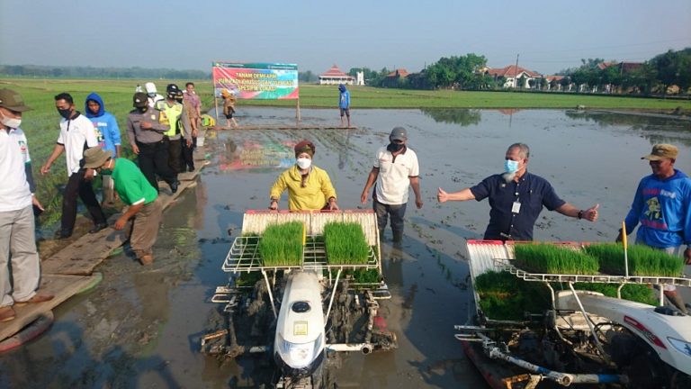 Luluk Nur Hamidah: Peran Pertanian di Tengah Pandemi Covid-19 Sangat Vital