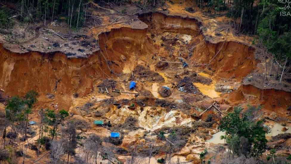Amazon Brasil: Baku Tembak Mematikan Saat Penambang Memasuki Tanah Adat
