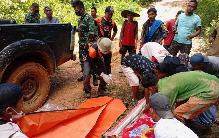 Akibat Longsor Tambang Emas Solok Selatan, 7 Orang Meninggal Dunia